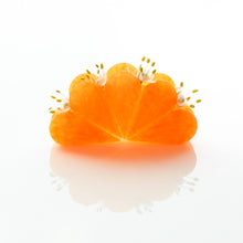 Cutters florist 20-30mm