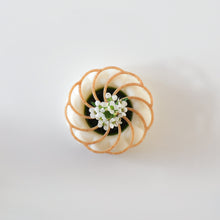 Spiral mini