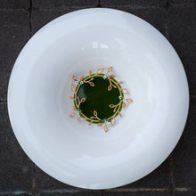 Bladkrans