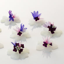 Cutters florist 20-30mm
