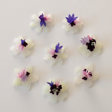 Cutters florist 20-30mm