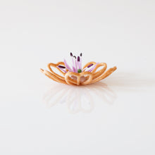 Dalia mini
