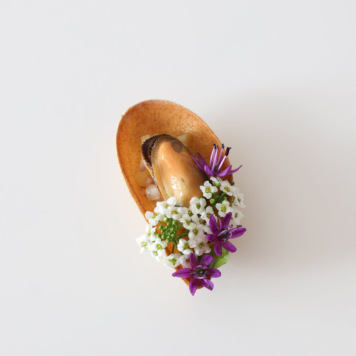 Tartelette Mussla