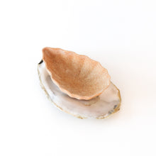 Tartelette Ostron