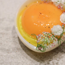 Tartelette Egg