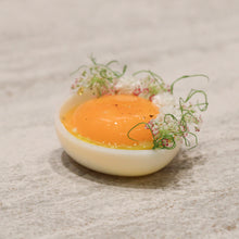Tartelette Egg