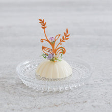 Sprouting