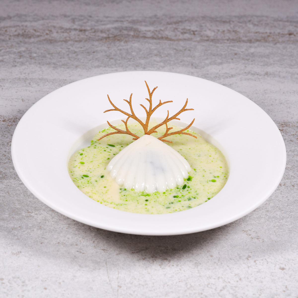 Coquille