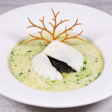 Coquille