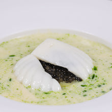 Coquille
