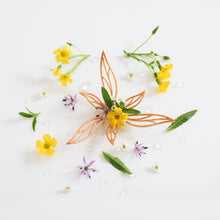 Verbena