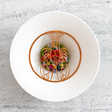 Homard