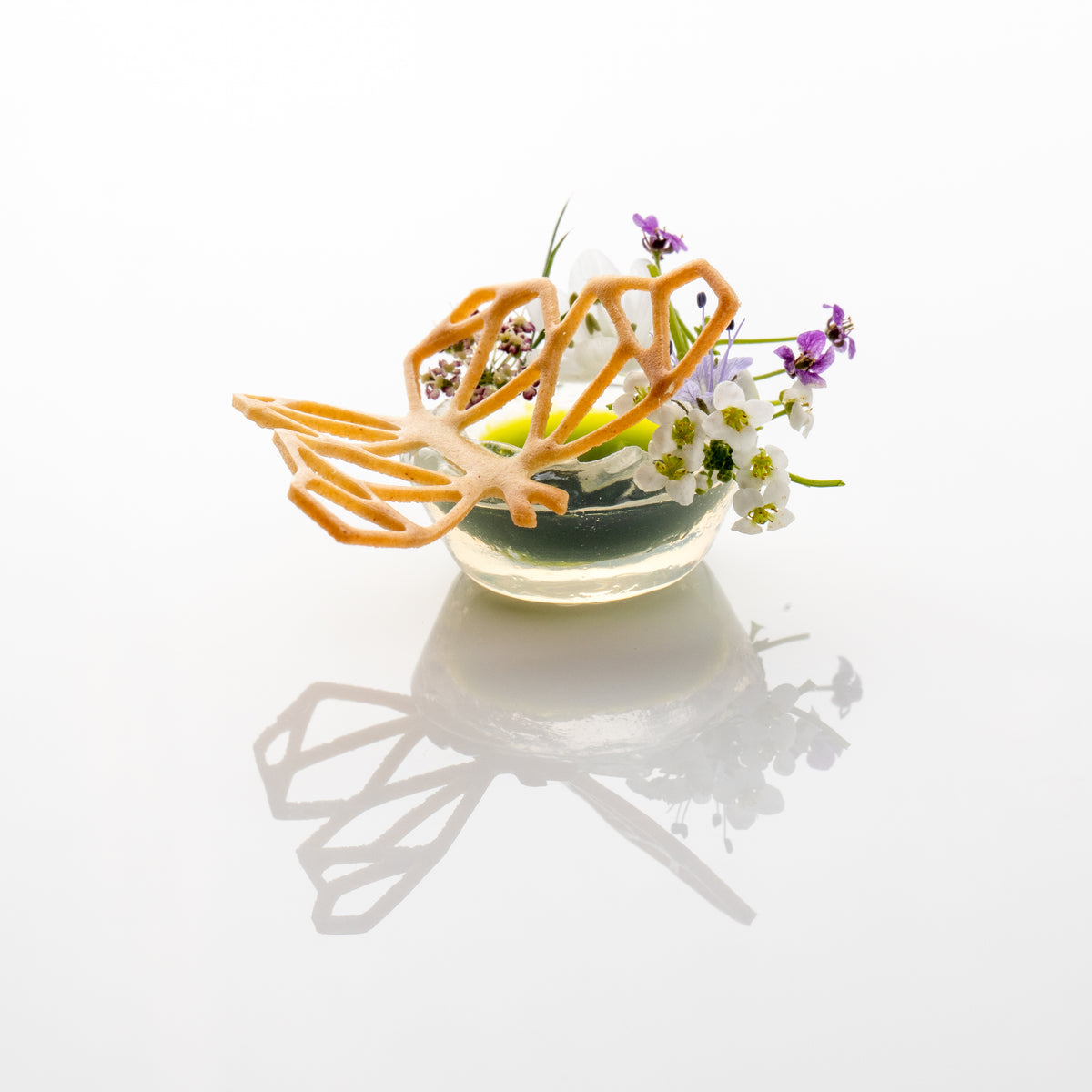 Butterfly Mini