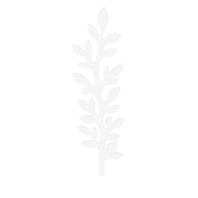 Sparris